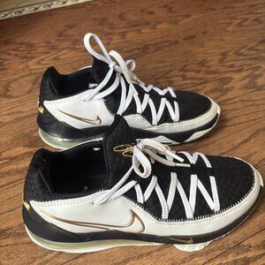 Nike LeBron 17 Low Basketball Shoes